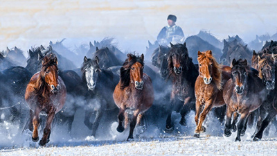 新华社出图丨华章新序 光影见证