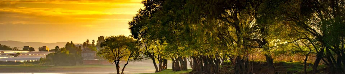 美麗景區丨詩意巫峽大美巫山?巫峽?神女景區文旅融合創新發展