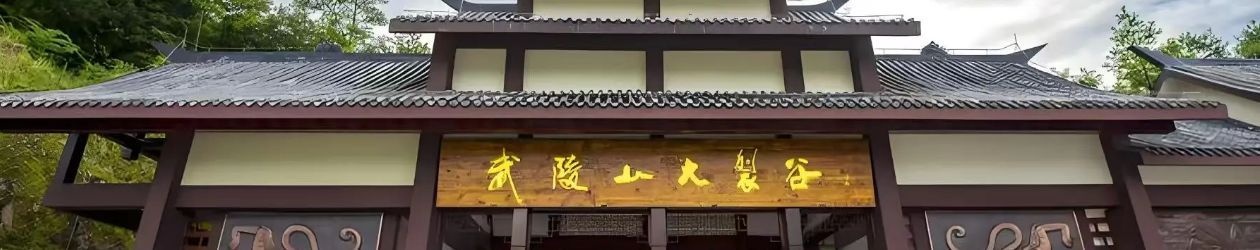 美麗景區丨武陵山大裂谷：塑造山地休閑度假新典范