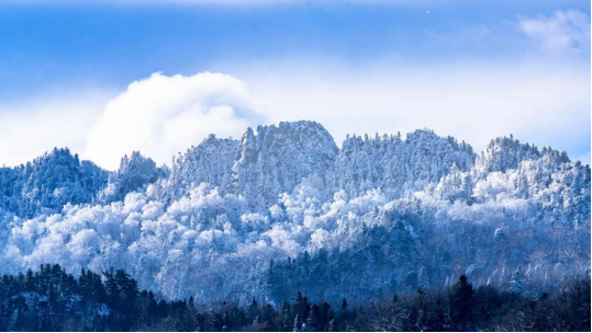美麗城市丨林都伊春，森林里的家