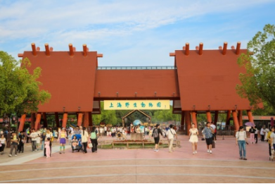 美麗景區丨上海野生動物園：人與動物和諧共生的生態文旅新地標