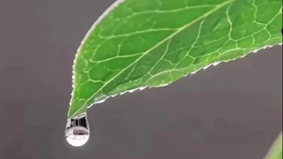 在中國古詩詞里，尋找北京冬奧的&ldquo;節(jié)氣密碼&rdquo;