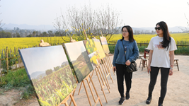 重慶市廣陽島打造&ldquo;生態(tài)大課堂&rdquo;觀察