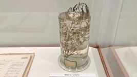 獻(xiàn)給世界的禮物&mdash;&mdash;&ldquo;青蒿素研究&rdquo;持續(xù)助力全球抗瘧