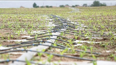 &ldquo;旱變水&rdquo;高標準梯田助力農田穩產