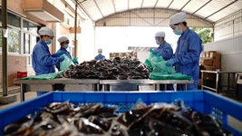 中醫藥發揮獨特優勢&ldquo;防、治、康&rdquo;全程助力抗疫