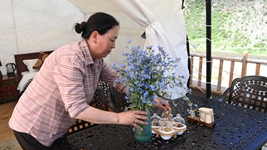 年過半百回鄉創業 她助力古村落煥發新活力