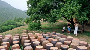 將藝術注入鄉野&mdash;&mdash;一位陶瓷藝術家的鄉村振興實踐