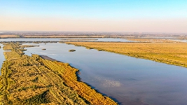 &ldquo;京津綠肺&rdquo;七里海濕地為候鳥到來(lái)做好準(zhǔn)備