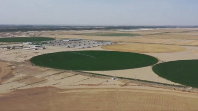 科技賦能 新疆沙漠邊的智慧農場變身&ldquo;飼草銀行&rdquo;