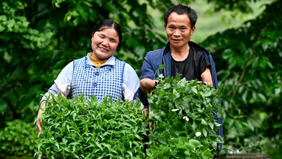 你是我的眼，我是你的手