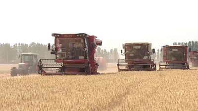 種糧大戶的&ldquo;豐收密碼&rdquo;