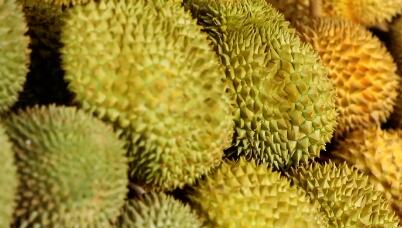 從香水椰看中國&mdash;東盟水果貿易前景