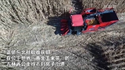 吉林：&ldquo;無人農(nóng)場&rdquo;實現(xiàn)玉米無人自動收割