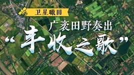 衛(wèi)星瞰田丨廣袤田野奏出&ldquo;豐收之歌&rdquo;
