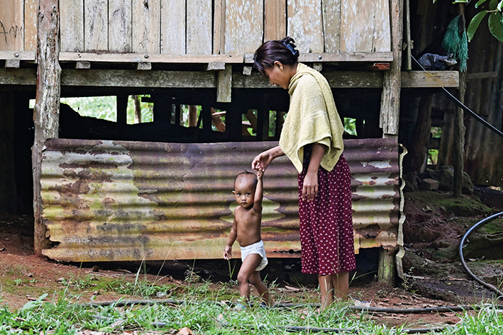 重生之路：珍尼湖的生態覺醒