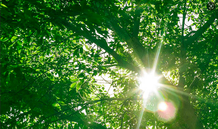 “守護心‘晴’全民心理健康服務行動”走進甘肅省天水市麥積區