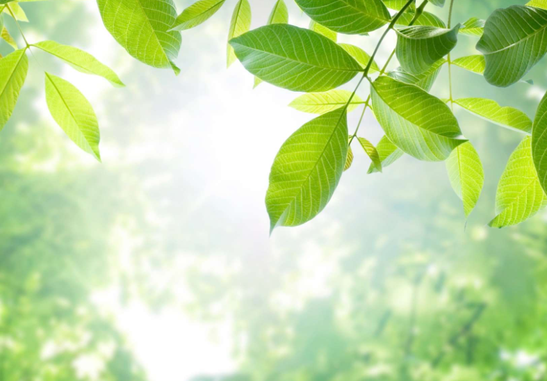 “守護心‘晴’——全民心理健康服務行動”落地甘肅慶陽