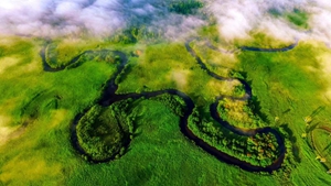 守好最北生態屏障&mdash;&mdash;黑龍江大興安嶺林區轉型記