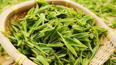 趕黃草專委會