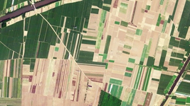 衛(wèi)星瞰&ldquo;田&rdquo;丨麥田勾勒出大地亮眼的掌紋