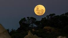 &ldquo;超級月亮&rdquo;現身夜空