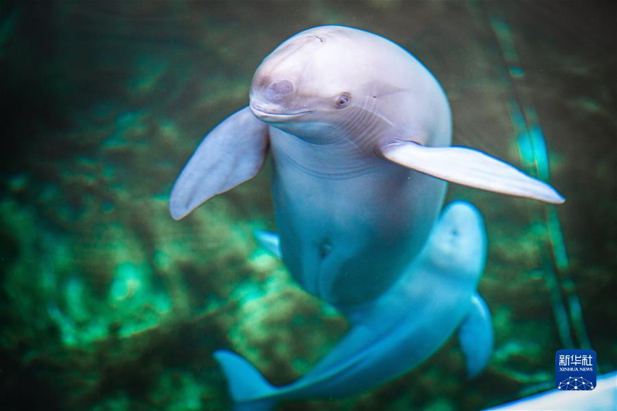 （新華全媒頭條&middot;奮進新征程 建功新時代&middot;非凡十年&middot;圖文互動）（6）湖北：奮力譜寫高質量發展新篇章 