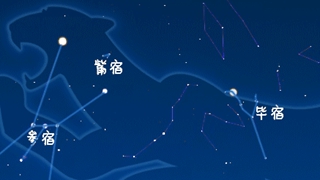 虎年來了，抬頭尋找天上的&ldquo;白虎&rdquo;