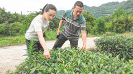 杜富國的妹妹杜富佳：大山里的&ldquo;帶貨書記&rdquo;