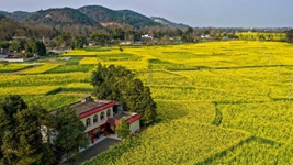 非凡十年丨四川：在新征程上奮力譜寫治蜀興川新篇章