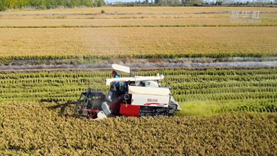 &ldquo;95后&rdquo;新農人：在希望的田野上&ldquo;播種&rdquo;夢想