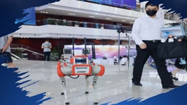 &ldquo;AI+X&rdquo;展現(xiàn)中國智能化新探索