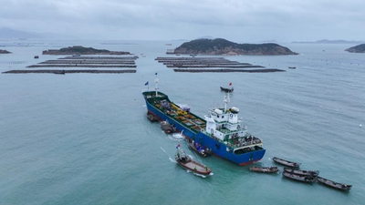 &ldquo;南北轉(zhuǎn)場(chǎng)&rdquo;助力鮑魚(yú)養(yǎng)殖提升效益