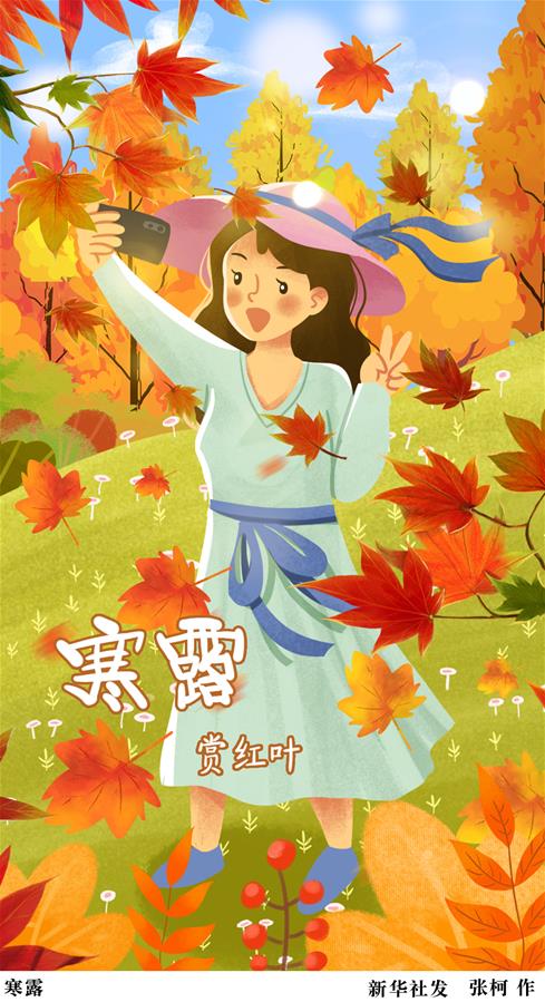 （圖表&middot;插畫）［二十四節氣&middot;寒露］寒露（三）