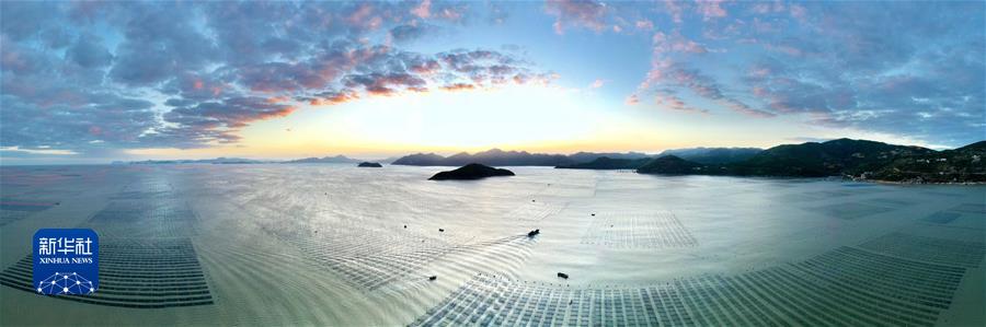 （鏡觀中國&middot;新華社國內新聞照片一周精選）（5）福建海上紫菜秋收忙