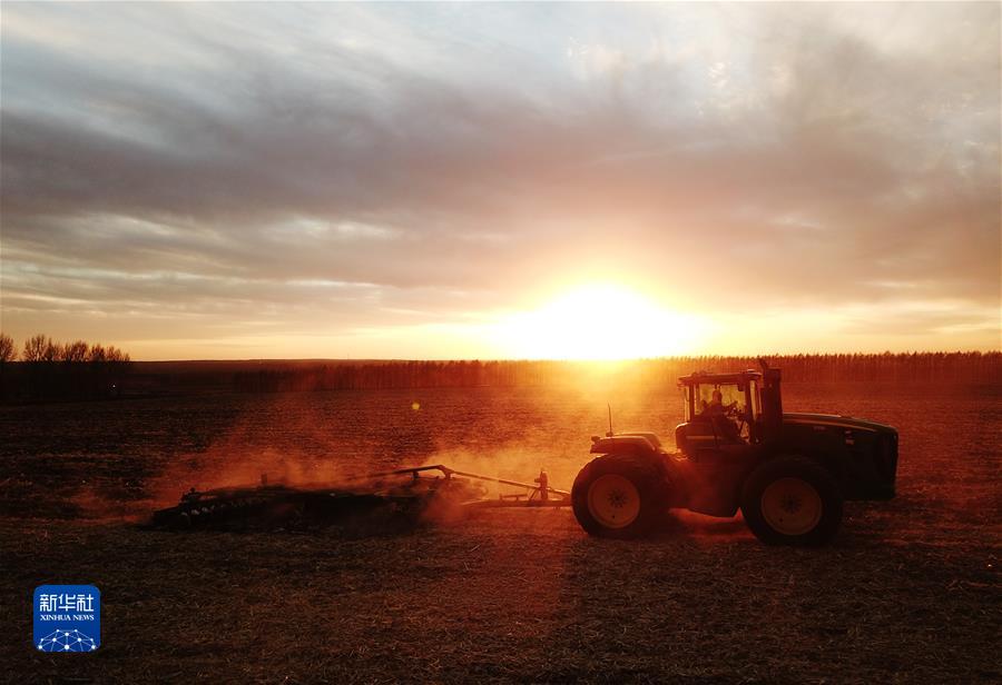 （鏡觀中國&middot;新華社國內新聞照片一周精選）（11）&ldquo;北大倉&rdquo;豐收色彩 