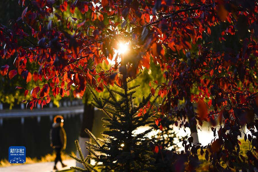 （鏡觀中國&middot;新華社國內(nèi)新聞?wù)掌恢芫x）（12）長(zhǎng)春秋景如畫