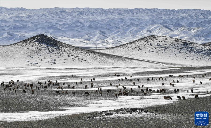 （鏡觀中國&middot;新華社國內(nèi)新聞?wù)掌恢芫x）（3）深山牧歌新聲