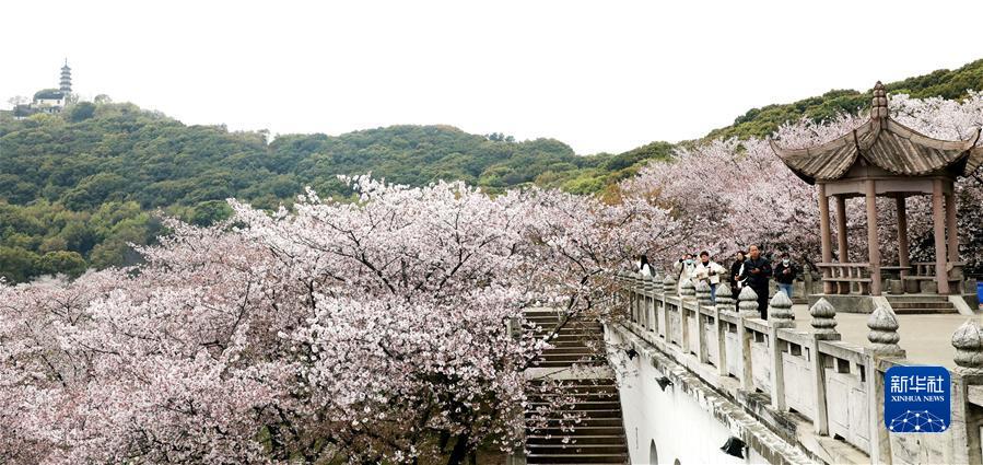 #（社會）（6）擁抱春天 樂享春光