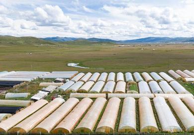 高原蔬菜&ldquo;登山&rdquo;記