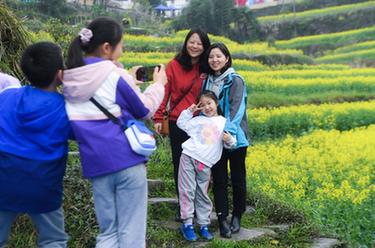 山鄉梯田開啟春季&ldquo;花朝節&rdquo;