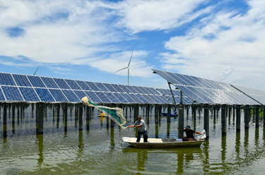 光伏魚塘上奏響綠電&ldquo;漁光曲&rdquo;