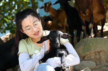 新華全媒+｜海島女&ldquo;羊倌&rdquo;的返鄉(xiāng)創(chuàng)業(yè)夢(mèng)