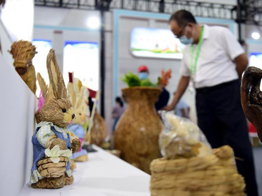 新華全媒+丨秸稈利用 變廢為寶&mdash;&mdash;打卡&ldquo;安徽秸稈博覽會(huì)&rdquo;