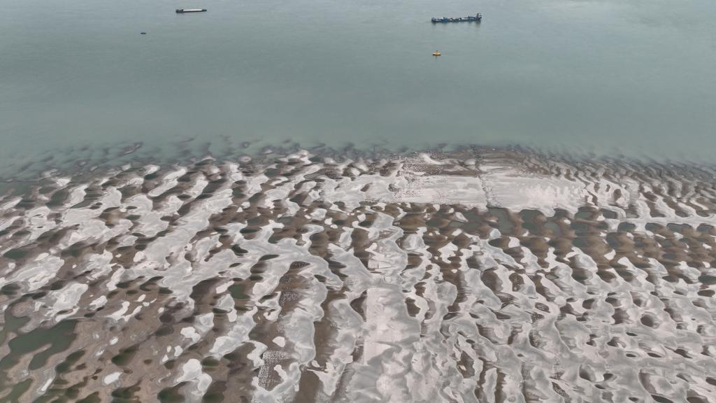 水位持續(xù)下降 長江九江段露出大片灘涂