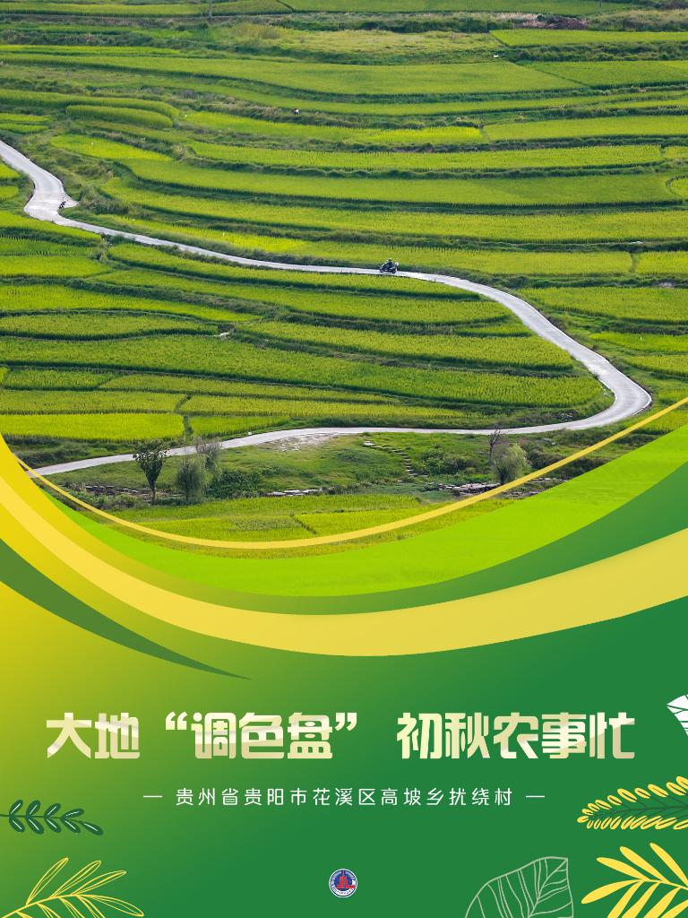新華全媒+丨大地&ldquo;調色盤&rdquo; 初秋農事忙