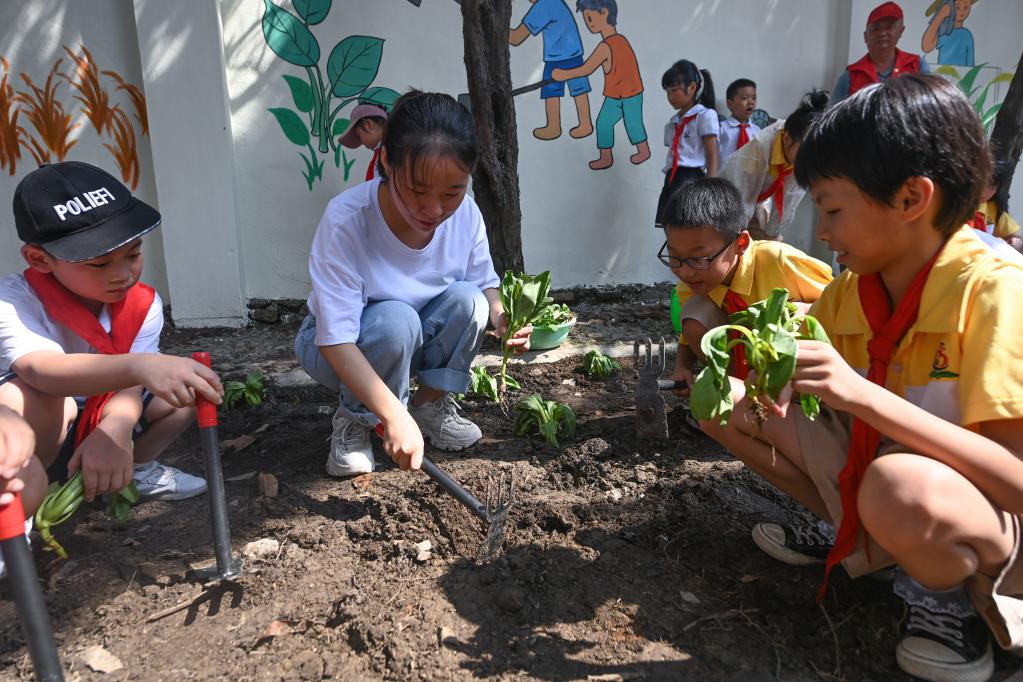 浙江湖州：勞動(dòng)實(shí)踐教育開啟&ldquo;開學(xué)第一課&rdquo;