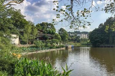 讓鄉(xiāng)村老院子煥發(fā)活力&mdash;&mdash;重慶巴南豐富旅游民宿供給觀察
