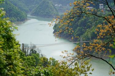 新華全媒+丨保護水源 綠色發展&mdash;&mdash;南水北調漢江水源地掠影