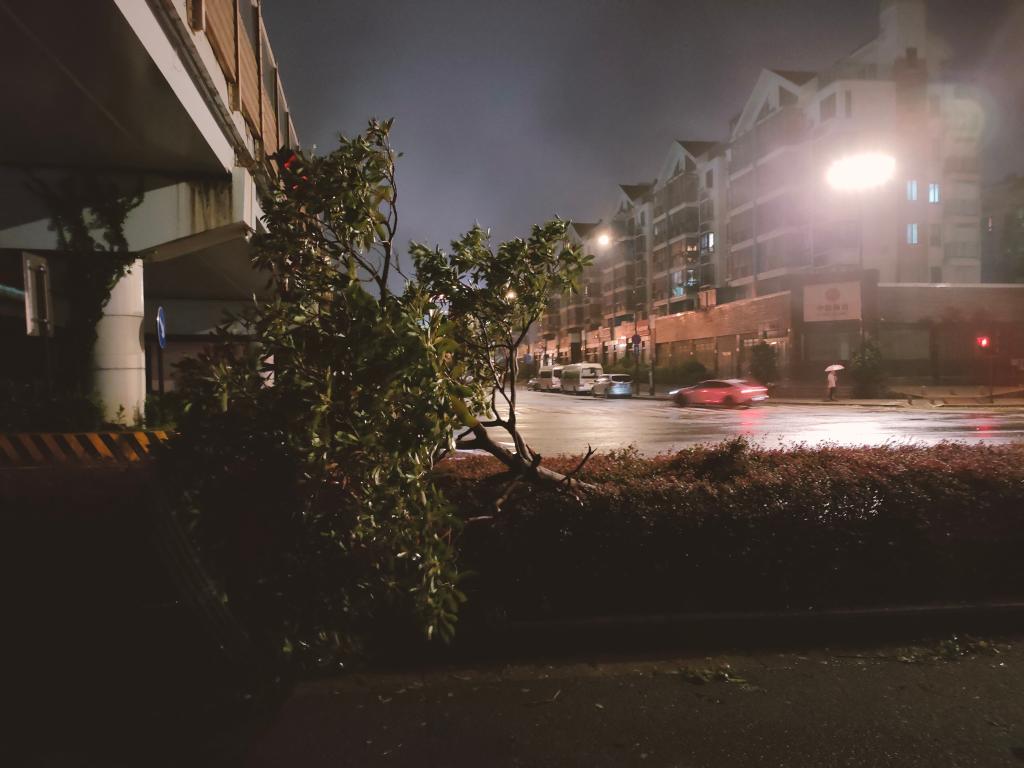 新華全媒+丨臺風&ldquo;梅花&rdquo;登陸浙江舟山普陀